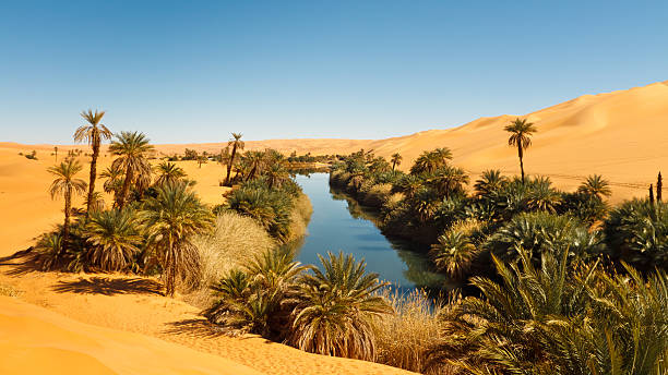 North African Desert Oasis
